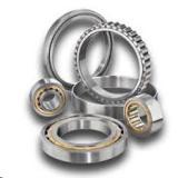 FAG 10-6062 Custom Bearings